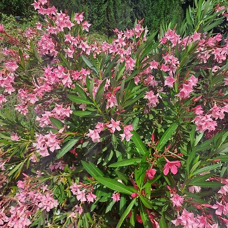 Sablet Le Gite Calluna מראה חיצוני תמונה