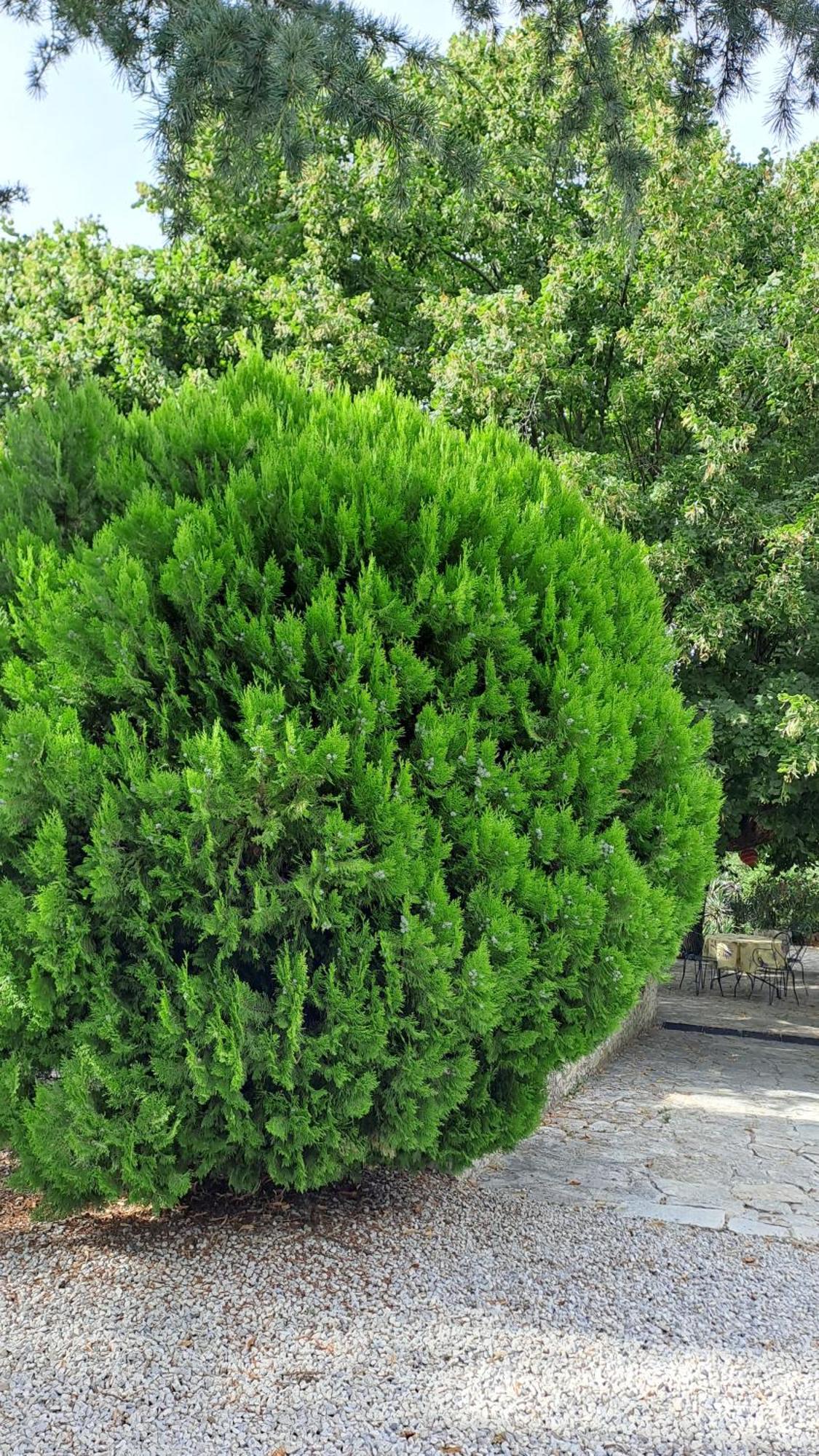 Sablet Le Gite Calluna מראה חיצוני תמונה